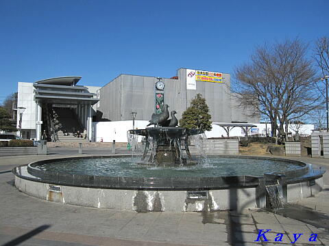 7IMG_5296