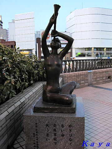 7IMG_7922