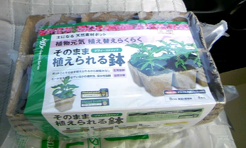 土になる天然素材ポット そのまま植えられる鉢 で 大輪ひまわり の種を植える かやのうち 蒼穹のトラベラー 関東 西日本の旅