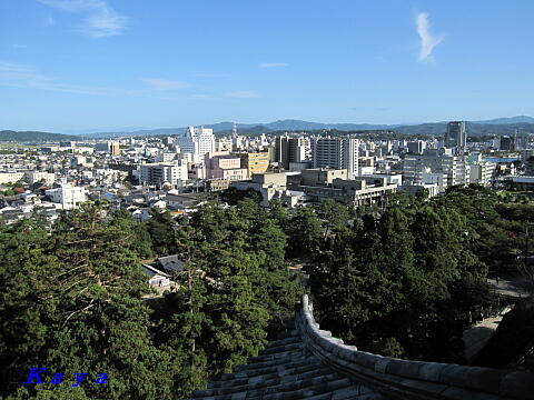 6IMG_7976