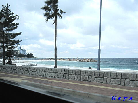 7IMG_4196
