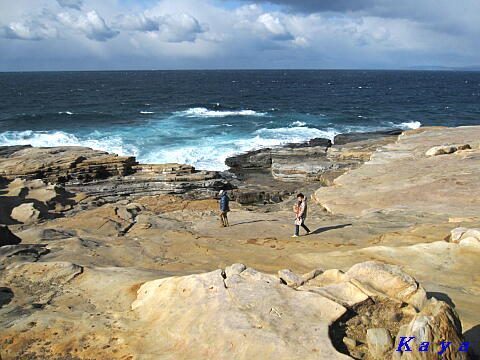 5IMG_4338