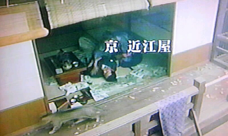 ネコ多いって 笑 重要シーンで愛媛県知事選テロップかよ 大河ドラマ龍馬伝最終回 かやのうち 蒼穹のトラベラー 関東 西日本の旅 ネコ多いって 笑 重要シーンで愛媛県知事選テロップかよ 大河ドラマ龍馬伝最終回 かやのうち 蒼穹のトラベラー 関東 西日本の旅