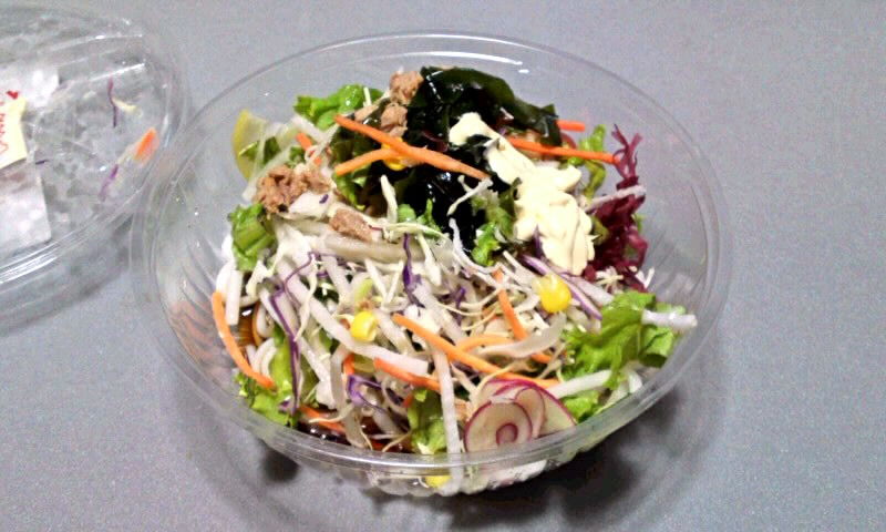 サラダ冷やし讃岐うどん と サラダチャンポン麺 かやのうち 蒼穹のトラベラー 関東 西日本の旅