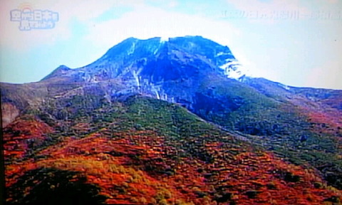 a94d7333.jpg
