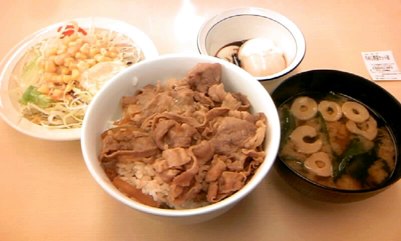 松屋の牛めし 野菜サラダセット を食す かやのうち 蒼穹のトラベラー 関東 西日本の旅