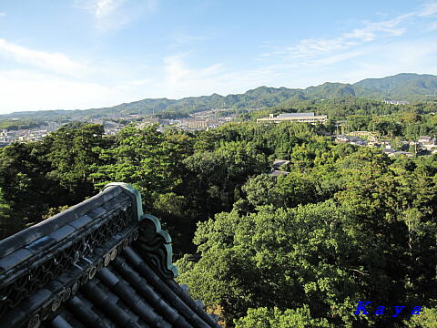 6IMG_7970