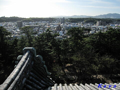 6IMG_7969