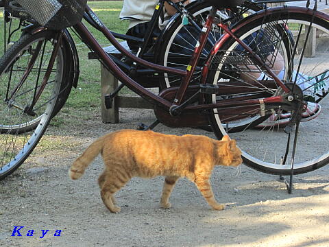 7IMG_7926