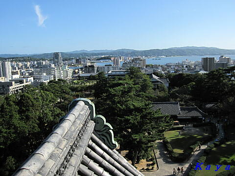 6IMG_7978