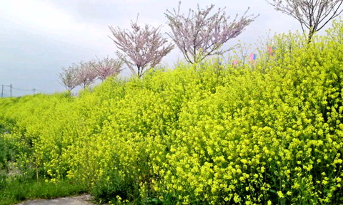 cf58ee48.jpg