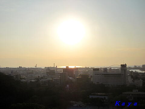 4IMG_4034
