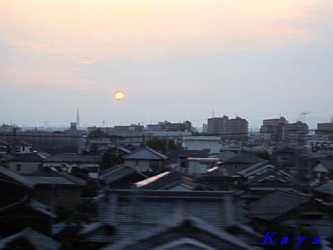 3IMG_5467