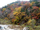 滝と紅葉2