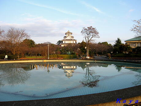 8IMG_1766