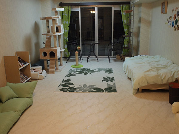 猫カフェ Nyanny 秋葉原店 猫への扉 猫カフェ Nyanny 秋葉原店 猫への扉