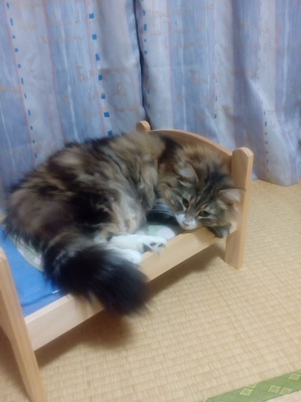 初めて職人を選ぶ時 迷うよね 金策をする為の職人選び編 コミュ障が送る 今から始める素敵なドラクエ10らいふ 初めて職人を選ぶ時 迷うよね 金策をする為の職人選び編 コミュ障が送る 今から始める素敵なドラクエ10らいふ