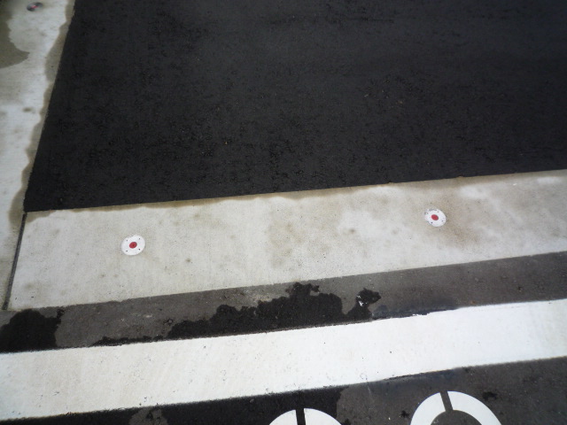 冬でも水撒き 猫に小判 おばさんに