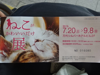 DSC00929 - コピー