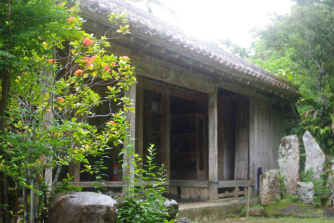 IMGP7071
