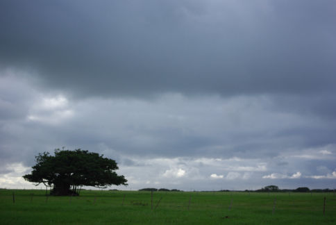 IMGP6954