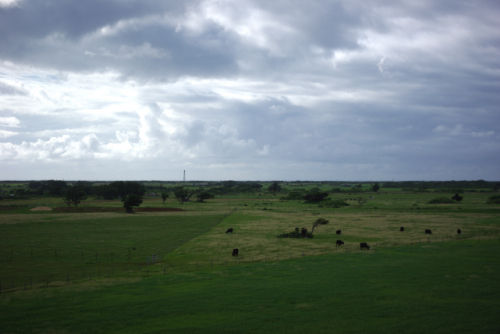 IMGP7001