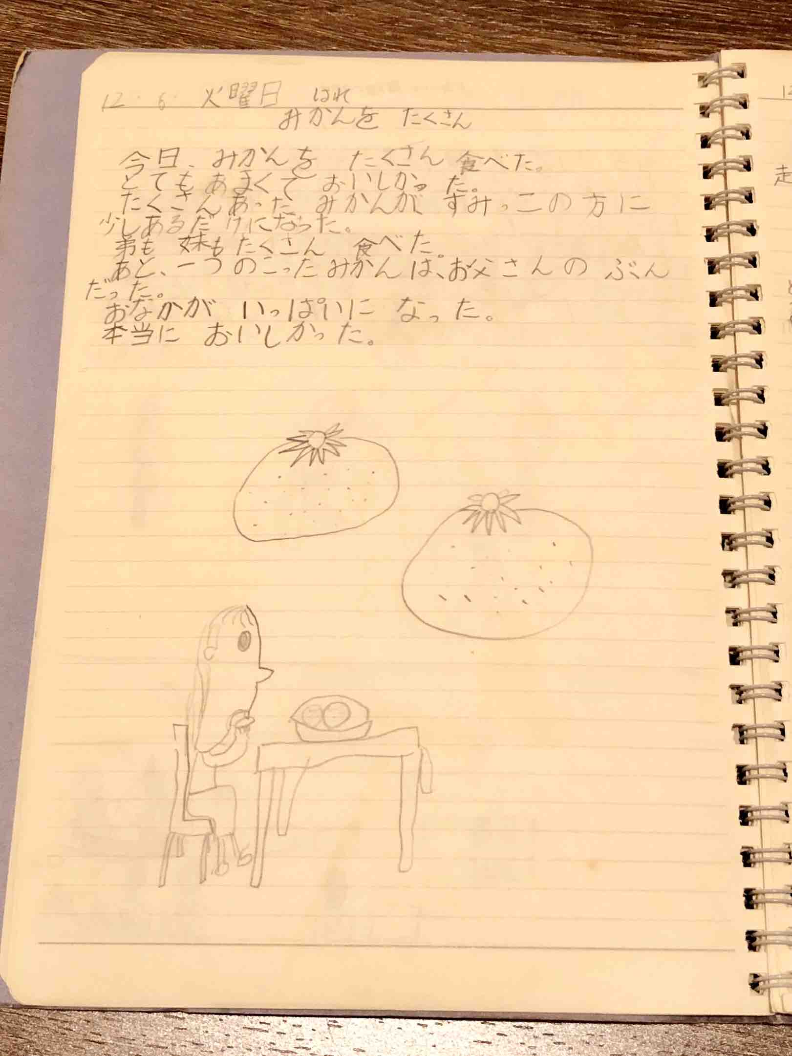 8歳の時の日記おもしろい 猫庭