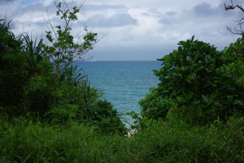 IMGP7044