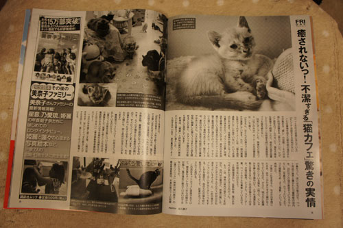 Friday 癒されないっ 不潔過ぎる猫カフェ ネコキャバではない Friday 癒されないっ 不潔過ぎる猫カフェ ネコキャバではない