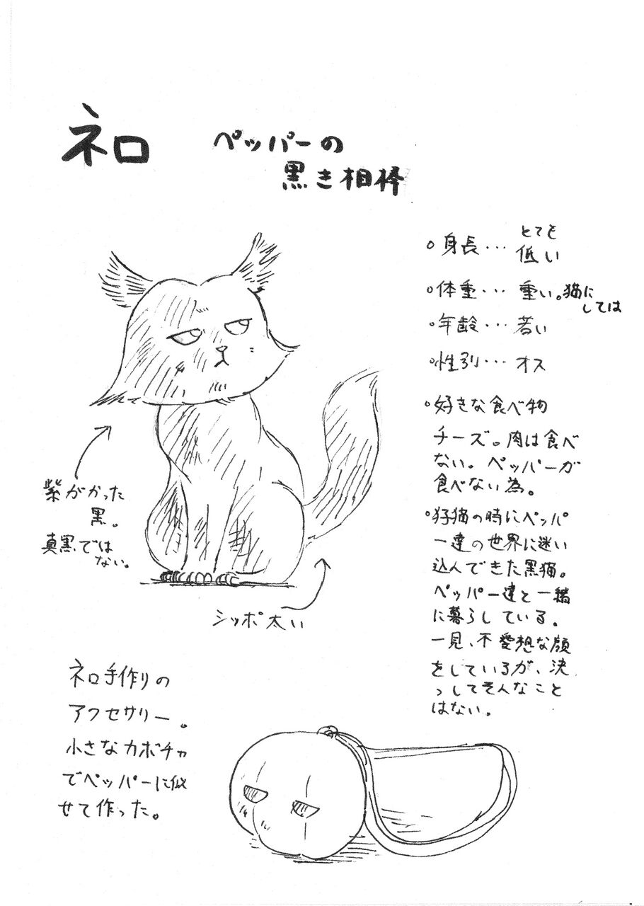 予告 おばけかぼちゃの恋 スピンオフ作品公開 ねこのうみちひろ 函館の住処