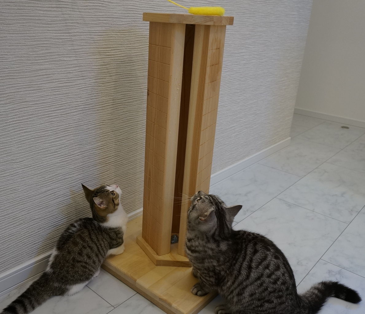 木製 縦型 猫の爪とぎ 贅沢な猫の爪とぎ と 猫ホイホイ3d 木製 縦型 猫の爪とぎ 贅沢な猫の爪とぎ と 猫ホイホイ3d