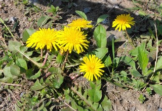 IMG_20220409_111436