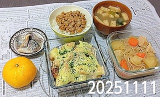 IMG_20251111_181100~3