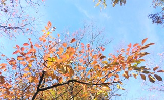 IMG_20251124_084105