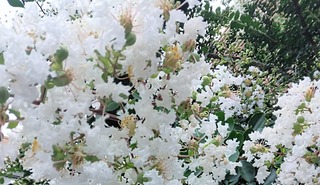 IMG_20250712_121040~3