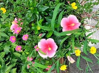 IMG_20250702_130522~3