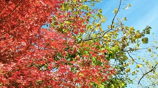 IMG_20251124_090516~2