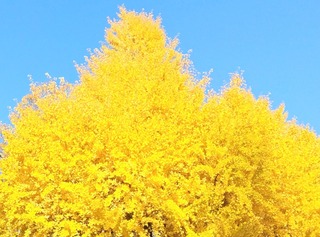 IMG_20251124_075947~2