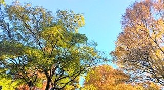 IMG_20251124_082510~2