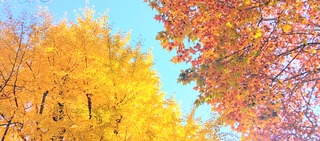 IMG_20251124_080042~3