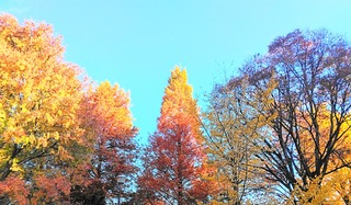 IMG_20251124_081627~3