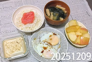 IMG_20251209_192830~3