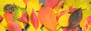IMG_20251124_113549~2