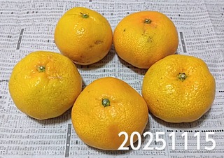 IMG_20251115_163839~2