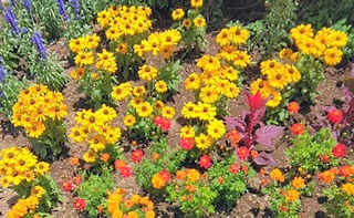 IMG_20260617_115251~2