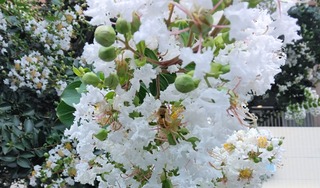 IMG_20250712_121027~2