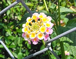 IMG_20250823_114503~2
