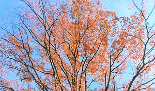 IMG_20251124_091234~2