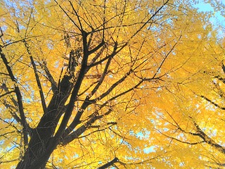 IMG_20251124_082733~2