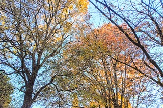 IMG_20251124_082409~3